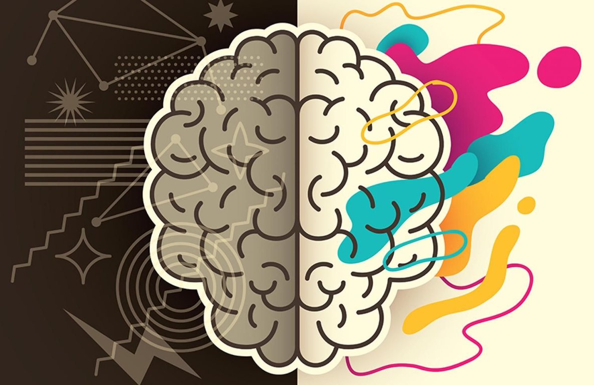 The Evolution of Psychology and Behavioral Sciences: From Philosophy to Modern Practice