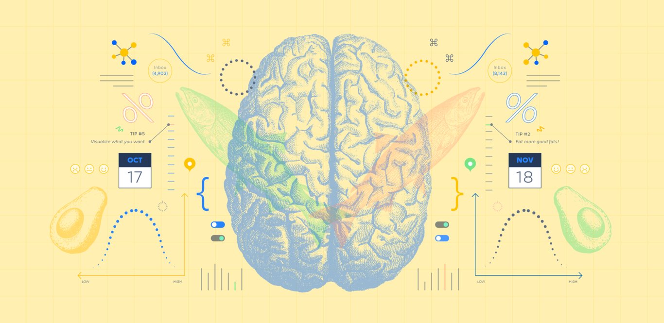The Science of Productivity in Professional Settings