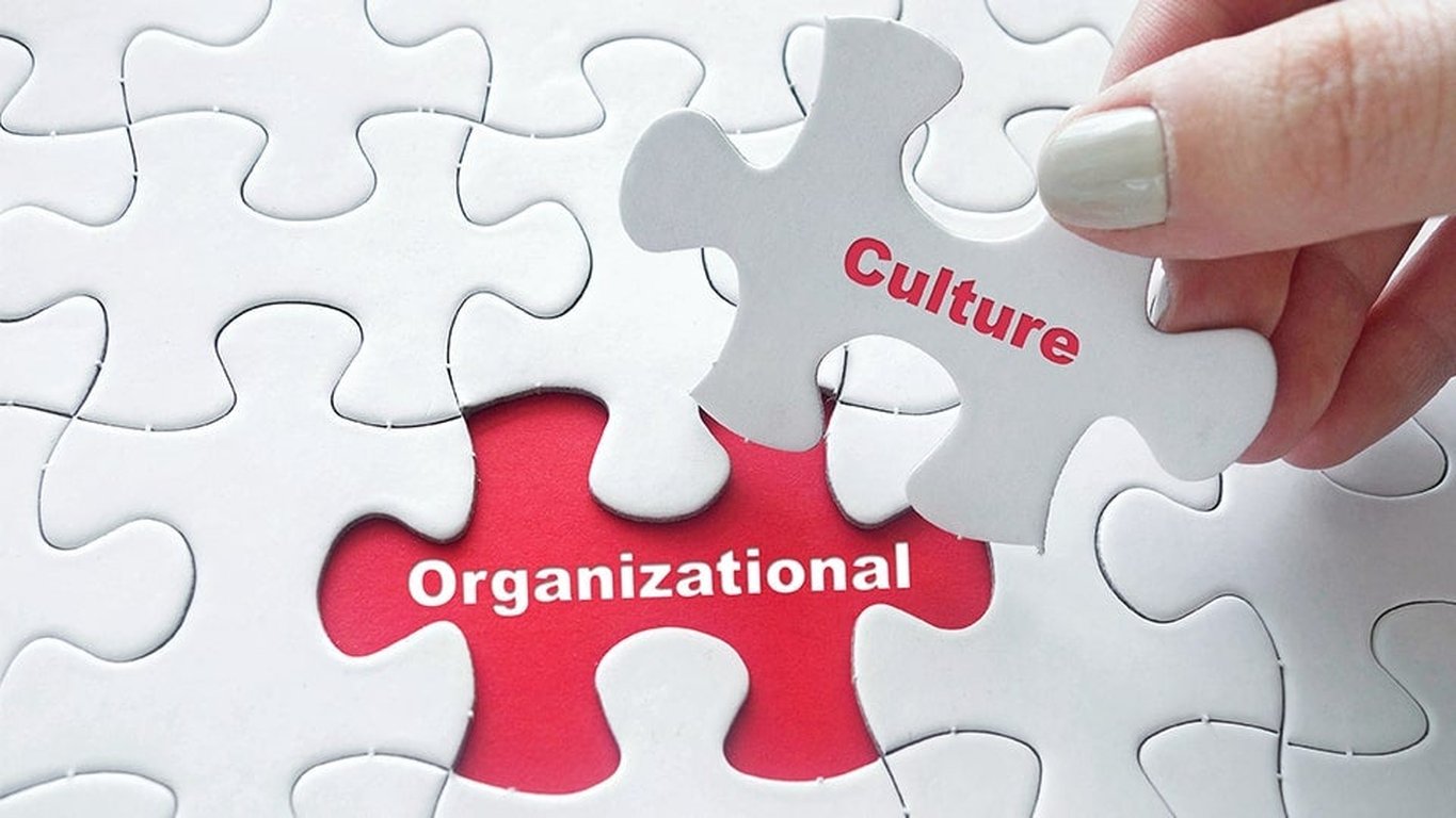 The Psychology of Organizational Culture: Understanding the Human Dimensions of Workplace Dynamics