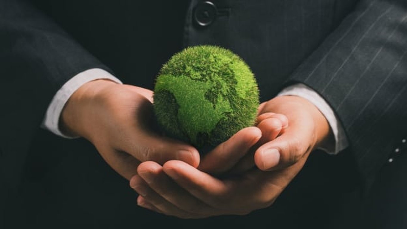Sustainable Leadership Practices: Balancing Profit with Purpose