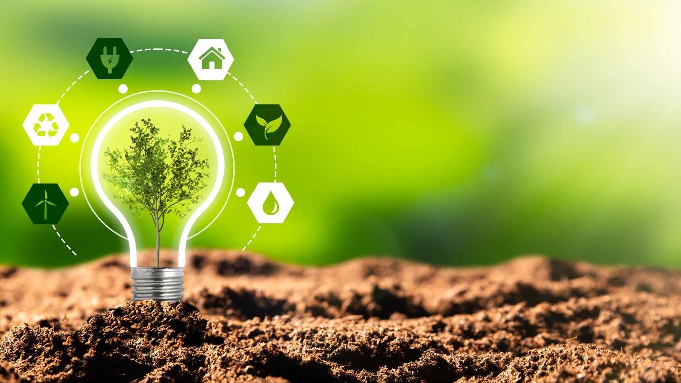 Building Sustainable Business Models