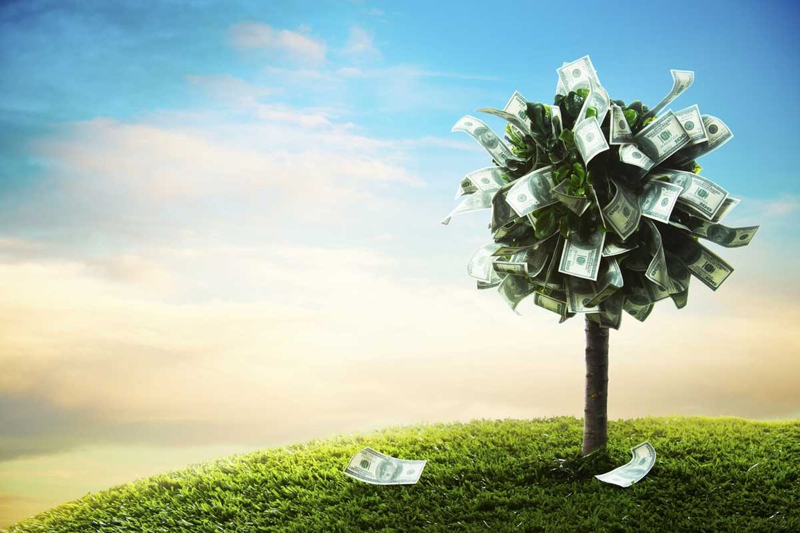 Financial Intelligence for Business Leaders: Driving Strategic Decision-Making