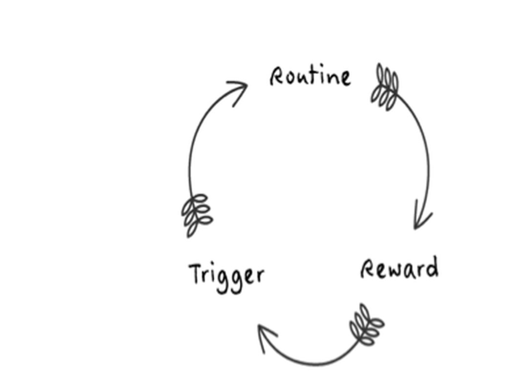 The Science of Habit Formation for Professional Growth