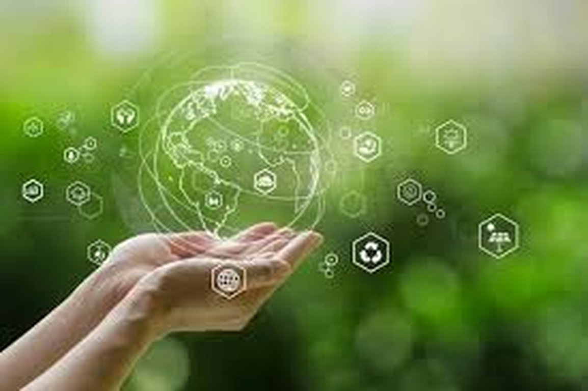 ممارسات الأعمال المستدامة للمستقبل: التوازن بين الربح والكوكب