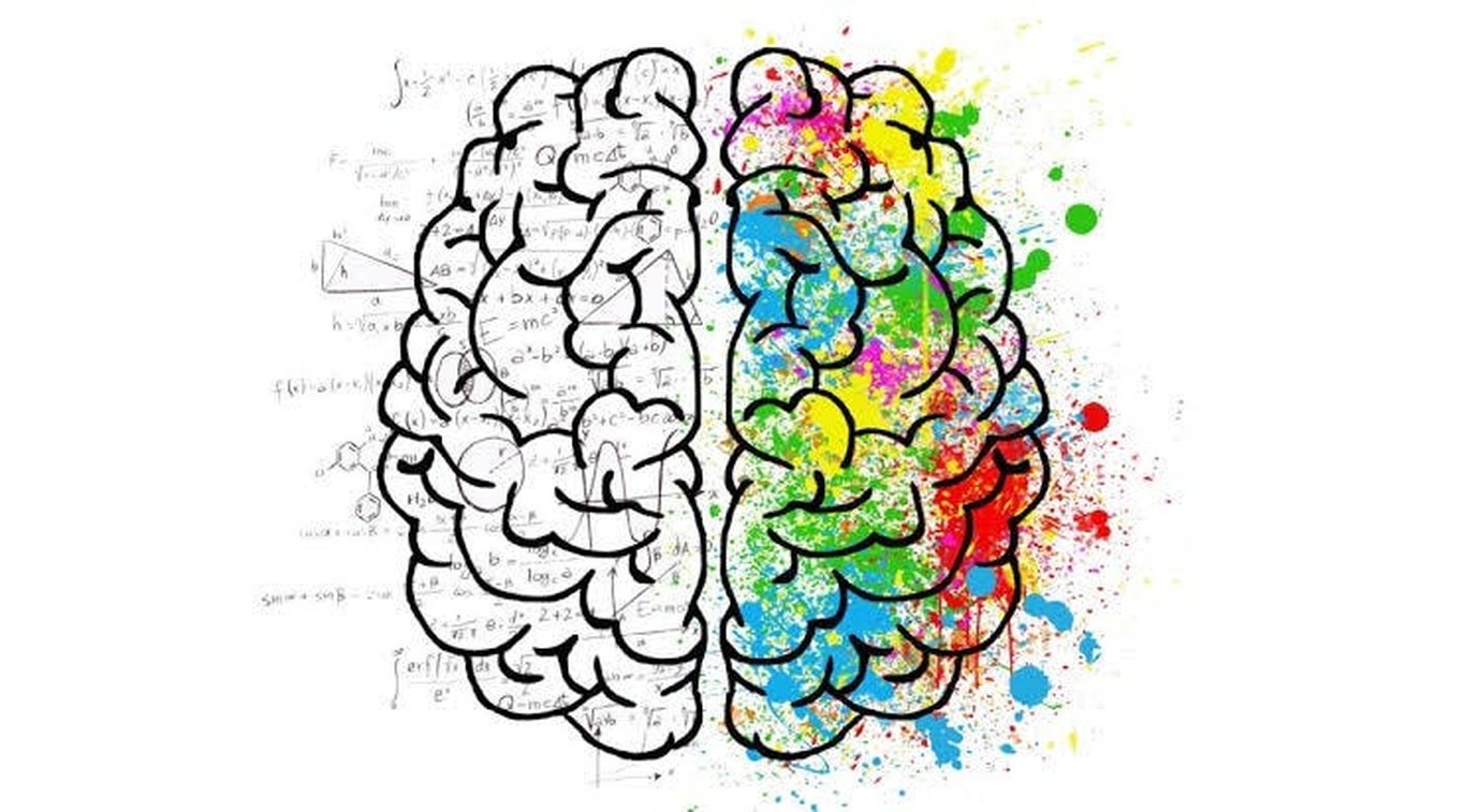 The Science of Productivity in Professional Settings