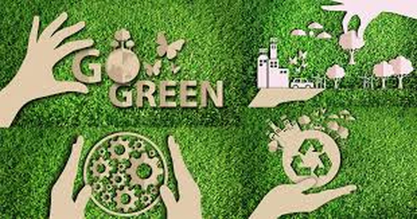 Sustainable Leadership Practices: Balancing Profit with Purpose
