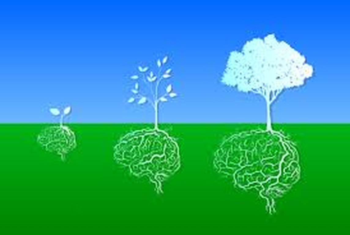 Strategies for Continuous Learning in the Workplace