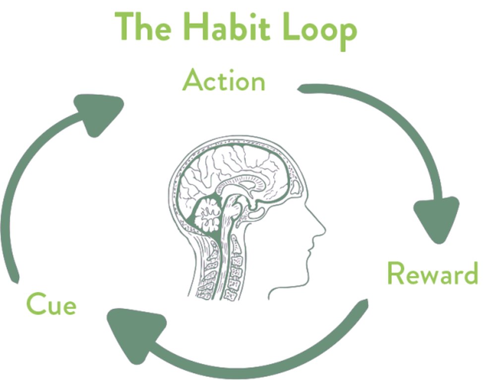The Science of Habit Formation for Professional Growth