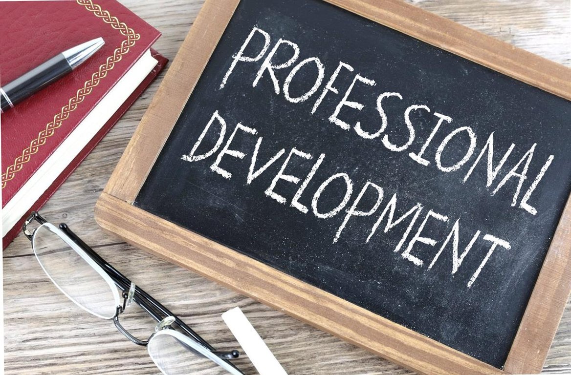 Understanding Professional Development