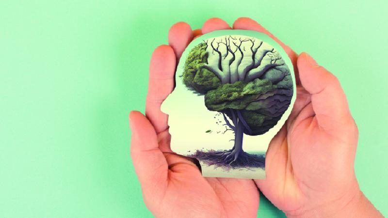 Training Program in Psychological Health