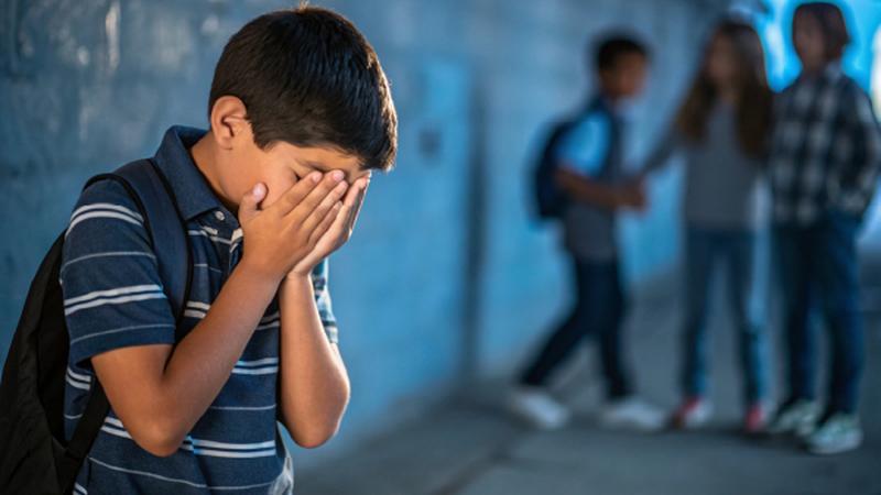 Training Program in Anti-Bullying and Aggression Prevention